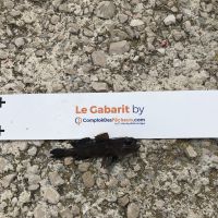 photo prise 829 par Eliot