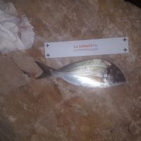 photo prise 852 par Houang