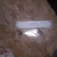 photo prise 853 par Houang