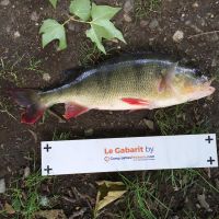 photo prise 862 par Jerem Terud