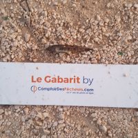 photo prise 864 par LORIS