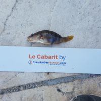 photo prise 887 par LORIS