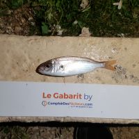 photo prise 895 par LORIS