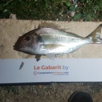 photo prise 896 par LORIS