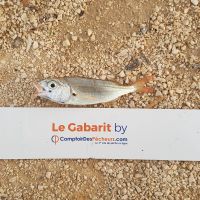 photo prise 899 par LORIS