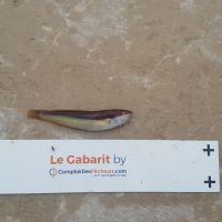 photo prise 912 par LORIS