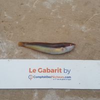 photo prise 913 par LORIS