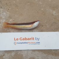 photo prise 914 par LORIS