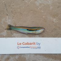 photo prise 916 par LORIS