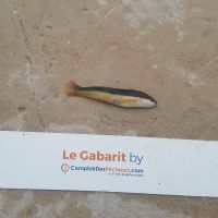 photo prise 917 par LORIS