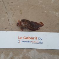 photo prise 918 par LORIS