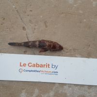 photo prise 920 par LORIS