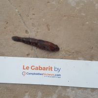 photo prise 921 par LORIS