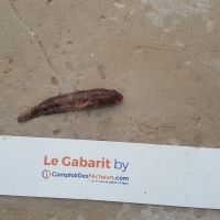 photo prise 922 par LORIS