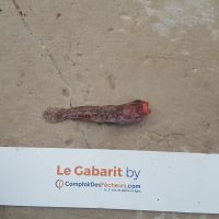 photo prise 923 par LORIS