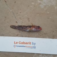 photo prise 924 par LORIS