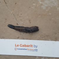 photo prise 925 par LORIS