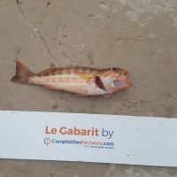 photo prise 926 par LORIS