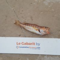photo prise 927 par LORIS