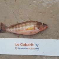 photo prise 928 par LORIS