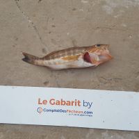 photo prise 929 par LORIS