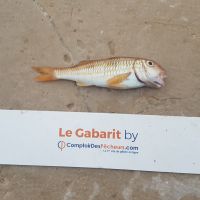 photo prise 931 par LORIS