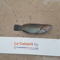 photo prise 932 par LORIS