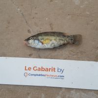 photo prise 933 par LORIS