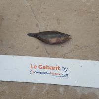 photo prise 935 par LORIS