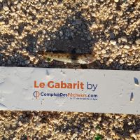 photo prise 953 par LORIS