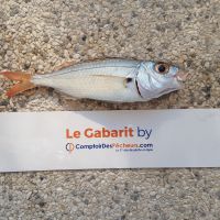 photo prise 955 par LORIS