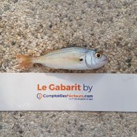 photo prise 956 par LORIS