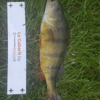 photo prise 957 par Frenchfishing42