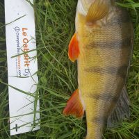 photo prise 960 par Frenchfishing42