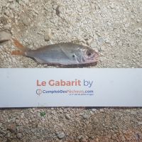 photo prise 1038 par LORIS