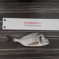 photo prise 1044 par Laetitia Sassane