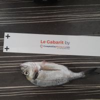 photo prise 1045 par Laetitia Sassane