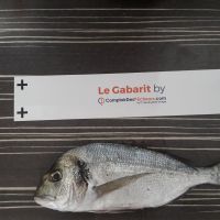 photo prise 1048 par Laetitia Sassane