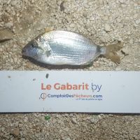 photo prise 1050 par LORIS