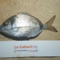 photo prise 1051 par LORIS