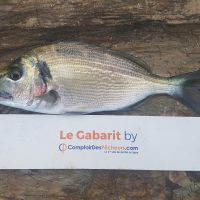 photo prise 1052 par LORIS