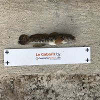 photo prise 1063 par Eliot