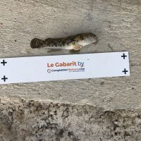 photo prise 1064 par Eliot
