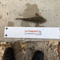 photo prise 1066 par Eliot