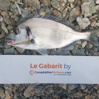 photo prise 1068 par LORIS
