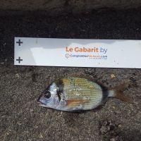 photo prise 1108 par Houang