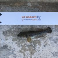 photo prise 1147 par Eliot