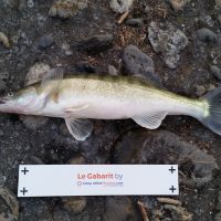photo prise 1162 par Jerem Terud