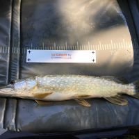 photo prise 1164 par Emilien Feron Fishing
