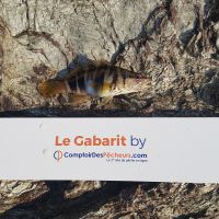 photo prise 1193 par LORIS
